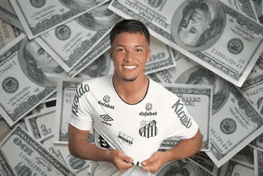 Com rumores de possível interesse do Palmeiras, esse poderia ser o salário de Marcos Leonardo