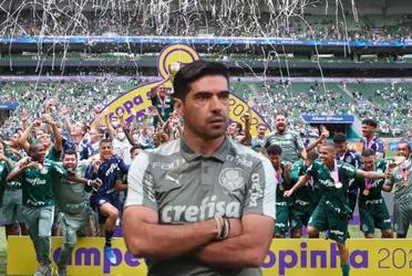 Cria do Palmeiras