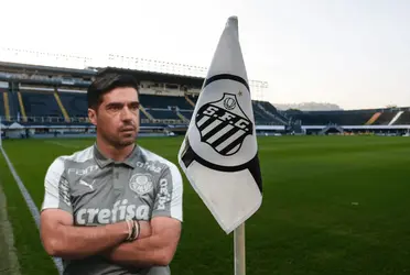 Ex-jogador do Palmeiras está indo para o Santos