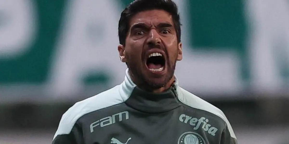 Foto: Palmeiras/Divulgação