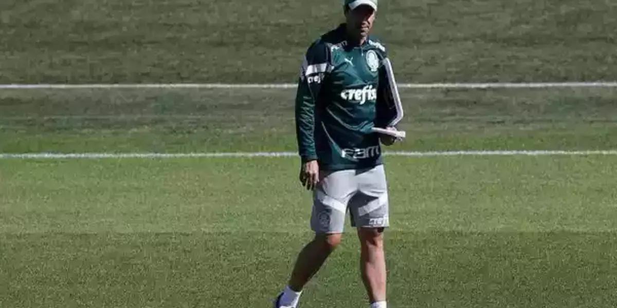 Foto: Palmeiras/Divulgação