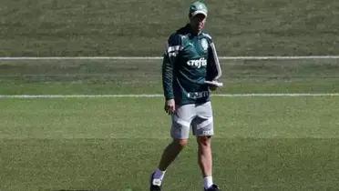 Foto: Palmeiras/Divulgação