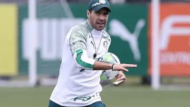 Foto: Palmeiras/Divulgação