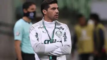 Foto: Palmeiras/Divulgação