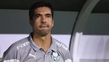 Foto: Palmeiras/Divulgação