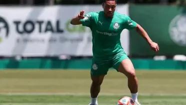 Foto: Palmeiras/Divulgação