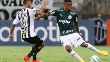 Foto: Palmeiras/Divulgação