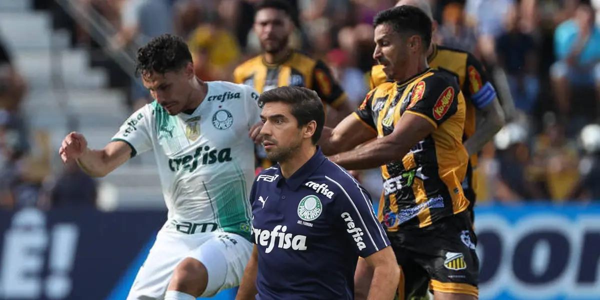 Palmeiras