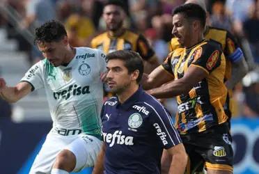 Palmeiras