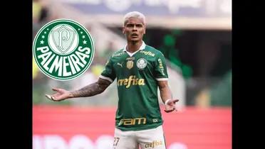 palmeiras