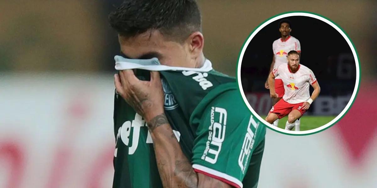 Palmeiras em destaque