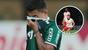 Palmeiras em destaque