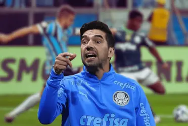 Verdão foi prejudicado contra o Grêmio e Abel se revoltou.