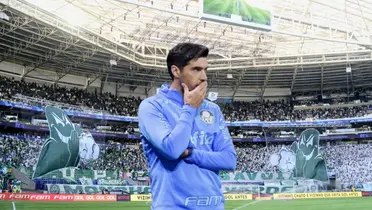 Abel Ferreira