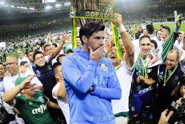 Ex-Palmeiras