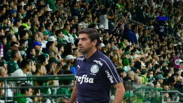 Ex-Palmeiras era muito criticado pelo seu peso no clube