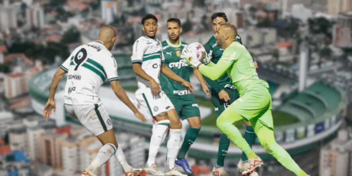 Lance aconteceu na partida Palmeiras x Coritiba e virou assunto entre os torcedores