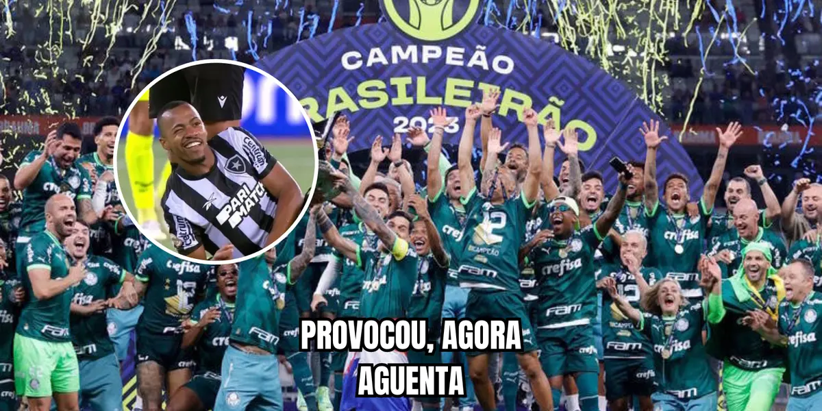 Na partida contra o Palmeiras, jogador do Botafogo deu uma piscadinha e está sendo alvo de provocação desde então