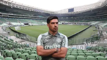 Palmeiras