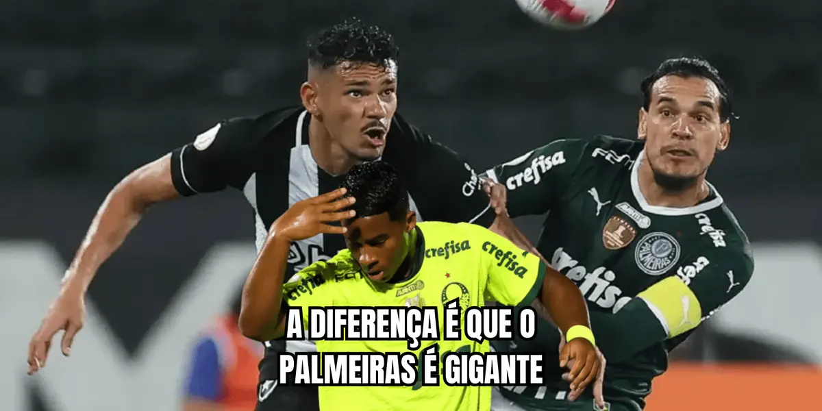 Palmeiras e Botafogo são os primeiros colocados na tabela do Brasileirão