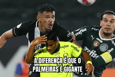 Palmeiras e Botafogo são os primeiros colocados na tabela do Brasileirão