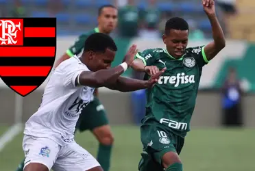 Palmeiras na Copinha