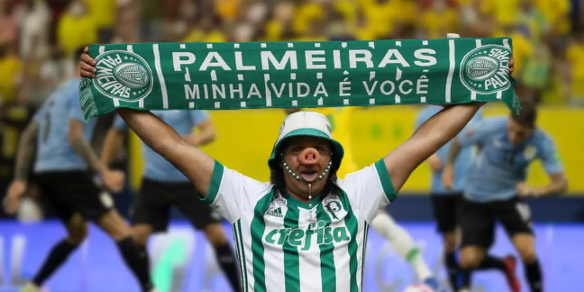 Todo palmeirense ficou encantado ao ver essa cena durante a partida