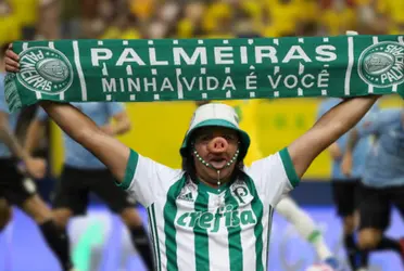 Todo palmeirense ficou encantado ao ver essa cena durante a partida