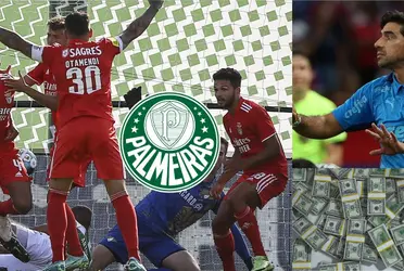 Zagueiro com passagens pelo Brasil pode reforçar o Palmeiras